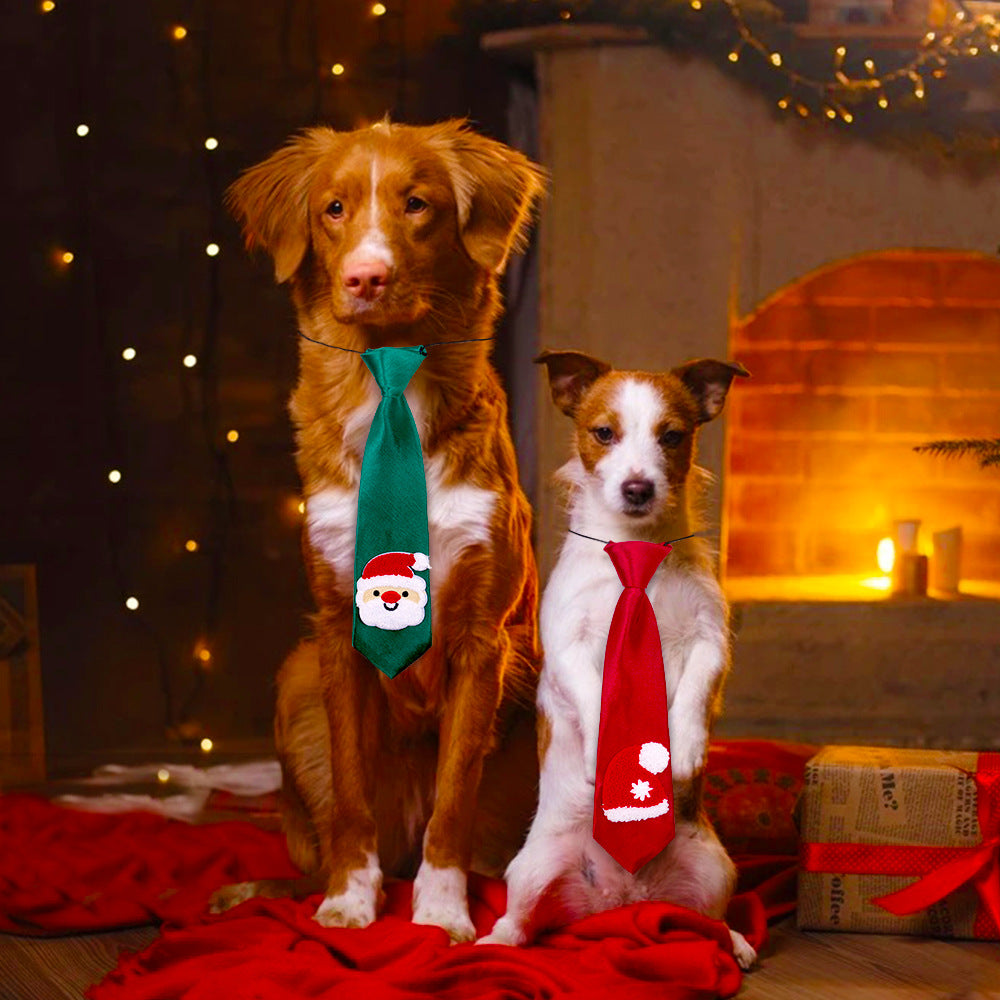 Dogs